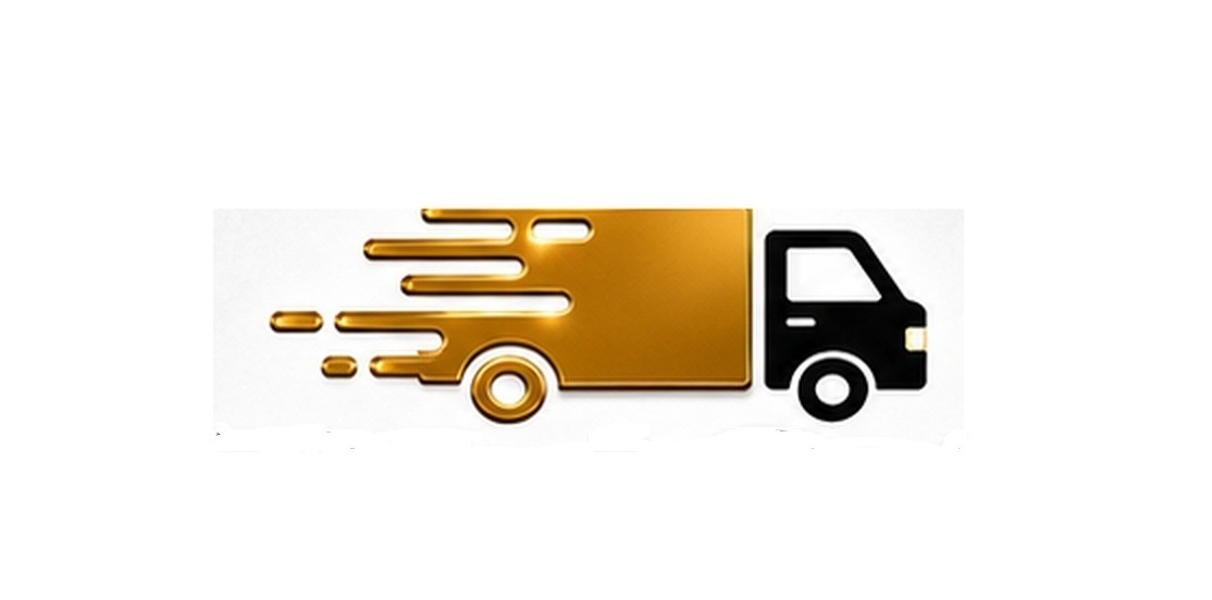 Elisa Moving Services Logo